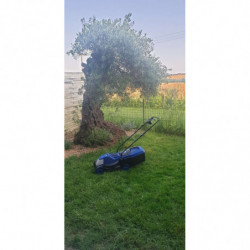 Kosiarka Elektryczna 1200 W 32 cm - popychana 
