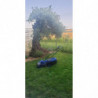 Kosiarka Elektryczna 1200 W 32 cm - popychana 