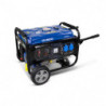 Generator Prądotwórczy Benzynowy stacjonarny 3000 W - System AVR