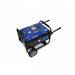 Generator Prądotwórczy Benzynowy stacjonarny 3000 W - System AVR