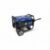 Generator Prądotwórczy Benzynowy stacjonarny 3000 W - System AVR