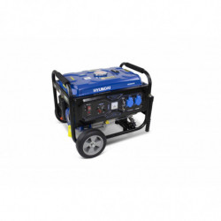 Generator Prądotwórczy Benzynowy stacjonarny 3000 W - System AVR