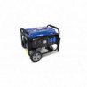 Generator Prądotwórczy Benzynowy stacjonarny 3000 W - System AVR