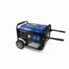Generator Prądotwórczy Benzynowy stacjonarny 3000 W - System AVR